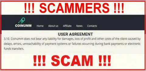 Coinumm thieves are not liable for customer losses