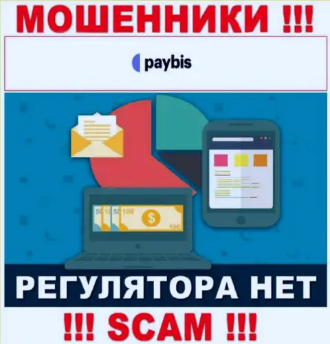 У PayBis на сайте не имеется инфы об регуляторе и лицензии организации, а следовательно их вовсе нет