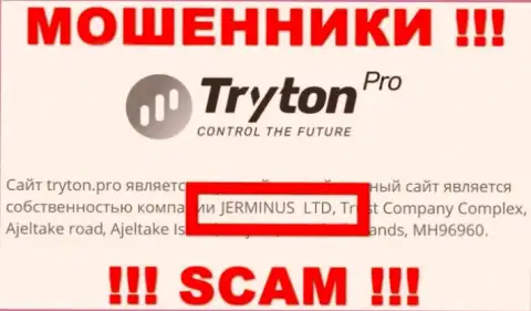 Сведения о юридическом лице Tryton Pro - это контора Jerminus LTD