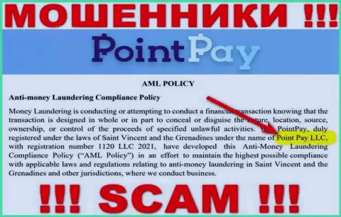 Конторой Поинт Пэй руководит Point Pay LLC - сведения с официального онлайн-ресурса мошенников