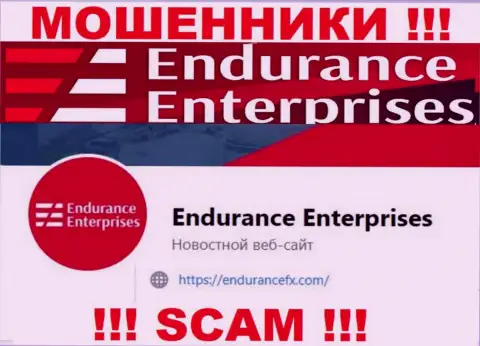 Установить связь с ворами из компании EnduranceFX Com Вы можете, если отправите письмо им на е-мейл