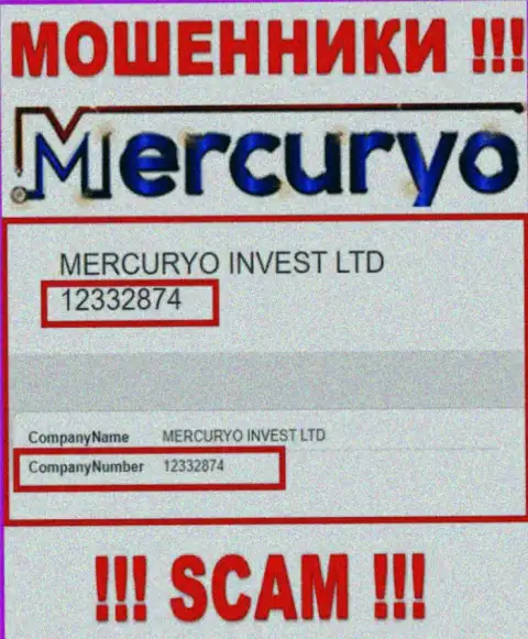 Номер регистрации незаконно действующей компании Меркурио - 12332874