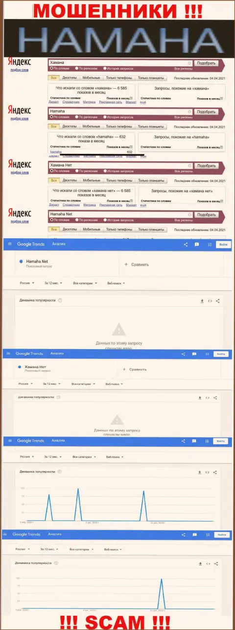 Online-запросы по бренду мошенников Хамана Нет в поисковиках сети internet