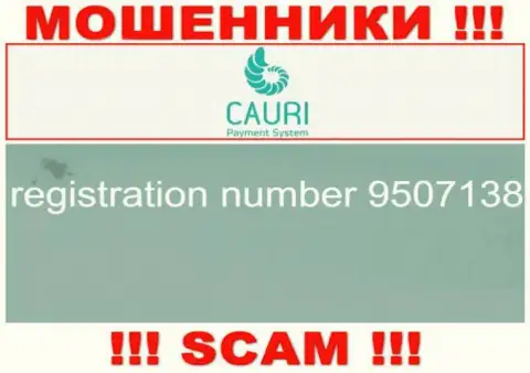 Номер регистрации, принадлежащий незаконно действующей компании Каури Ком: 9507138