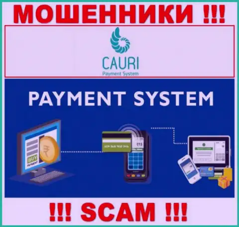 Мошенники Cauri, орудуя в сфере Платежная система, оставляют без денег наивных людей