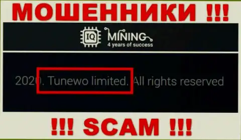Мошенники АйКьюМайнинг сообщили, что Tunewo Limited управляет их лохотронным проектом