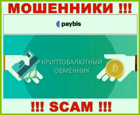 Крипто обменник это сфера деятельности незаконно действующей компании Pay Bis