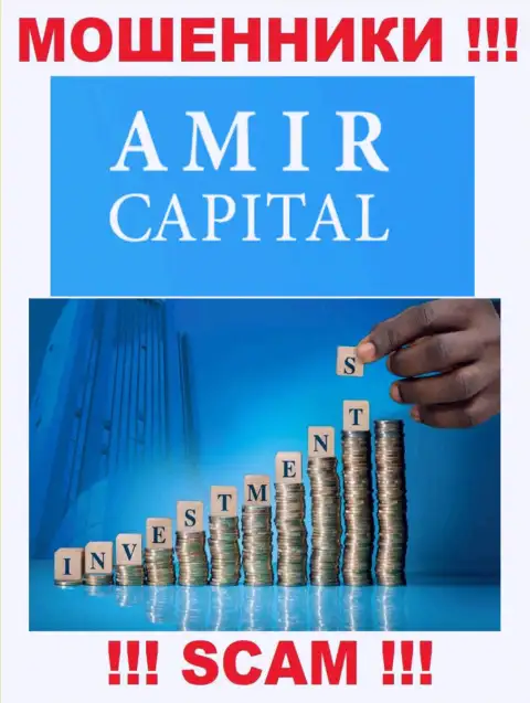 Не отправляйте денежные активы в AmirCapital, тип деятельности которых - Инвестирование