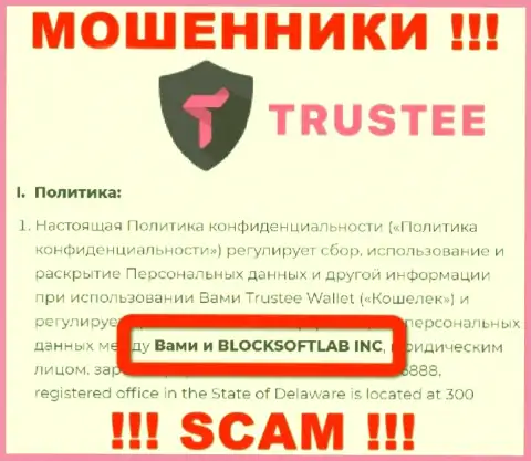BLOCKSOFTLAB INC владеет конторой БЛОКСОФТЛАБ Инк - это МОШЕННИКИ !!!