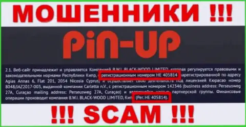 Регистрационный номер очередных ворюг всемирной паутины организации PinUp Casino - HE 405814