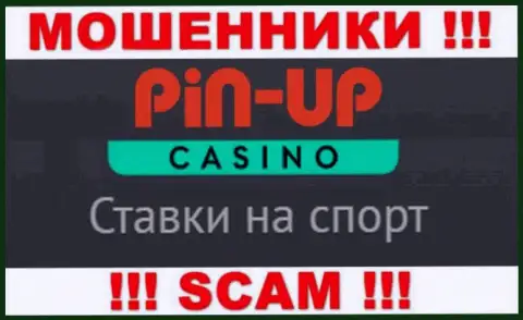 Основная деятельность Pin Up Casino - это Casino, будьте бдительны, прокручивают делишки противоправно