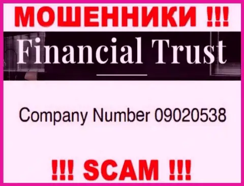 Регистрационный номер лохотронщиков internet сети компании FINANCIAL TRUST INVEST LIМITED - 09020538