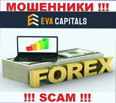 Форекс - это то, чем занимаются интернет мошенники Eva Capitals