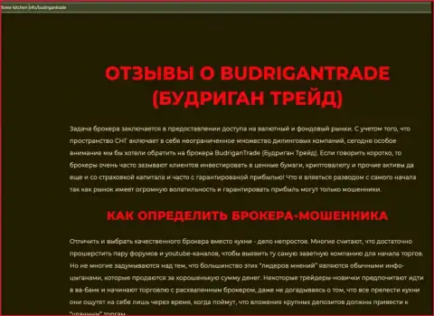 Budrigan Ltd - это компания, совместное взаимодействие с которой доставляет только убытки (обзор мошеннических действий)