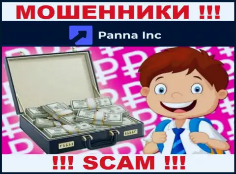Panna Inc ни рубля Вам не позволят вывести, не платите никаких комиссионных сборов