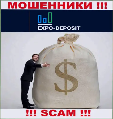 Нереально вернуть обратно финансовые вложения из компании Expo Depo Com, исходя из этого ни рубля дополнительно вводить не рекомендуем