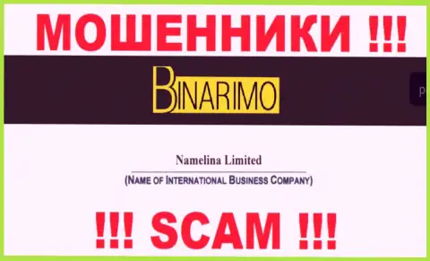 Юридическим лицом Бинаримо является - Namelina Limited