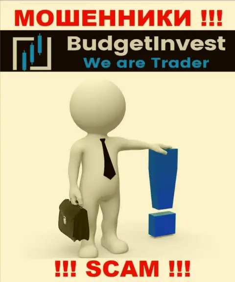 Budget Invest - это интернет-шулера !!! Не говорят, кто ими управляет