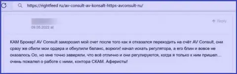 Недоброжелательный отзыв о конторе AVConsult Ru - это наглые internet-ворюги