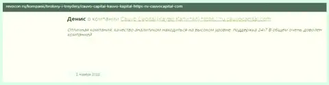 Брокерская организация CauvoCapital представлена в отзыве на информационном сервисе ревокон ру