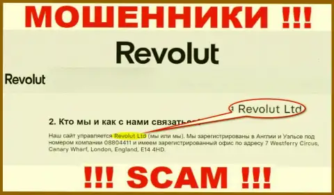 Revolut Ltd это компания, которая управляет internet ворюгами Revolut